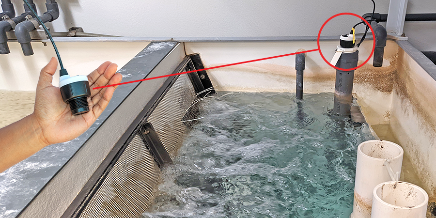 Aquarium Biomedia Tank Ultrasonic Level Measurement